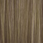 GENUS COLOR krem koloryzujący profesjonalna farba do włosów 100 ml | 10.00 - 3